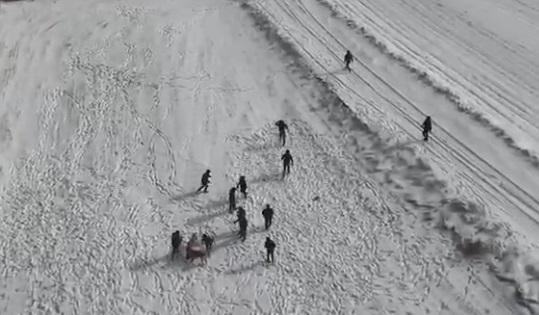 Köpek dövüştürenlerin dronu görüp kaçtığı anlar kamerada