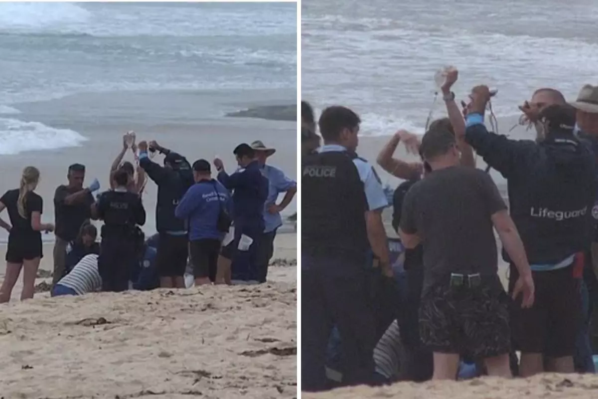 Köpekbalığı sörfçüyü ağır yaraladı! Deniz kırmızıya boyandı