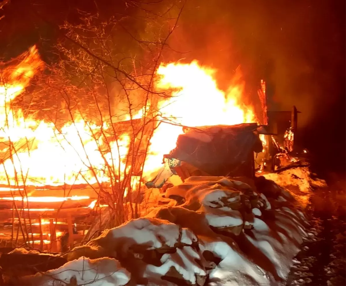 Ordu\'da ahşap ev ve samanlıkta yangın