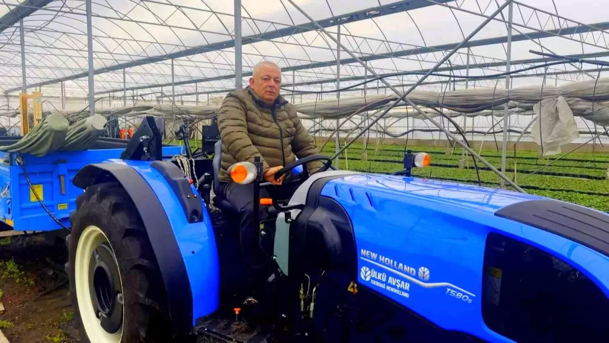 Yalova\'da Traktör Ceza Şoku