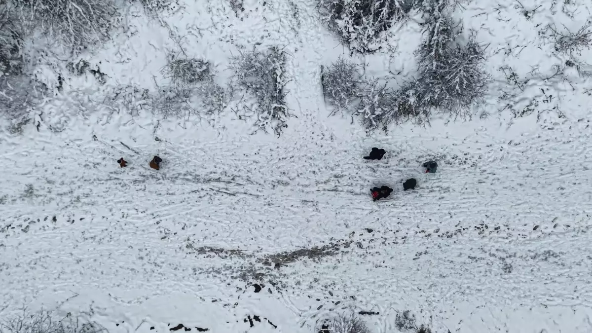 Kocaeli\'de Kar Yağışı Umuttepe\'yi Beyaza Bürüdü