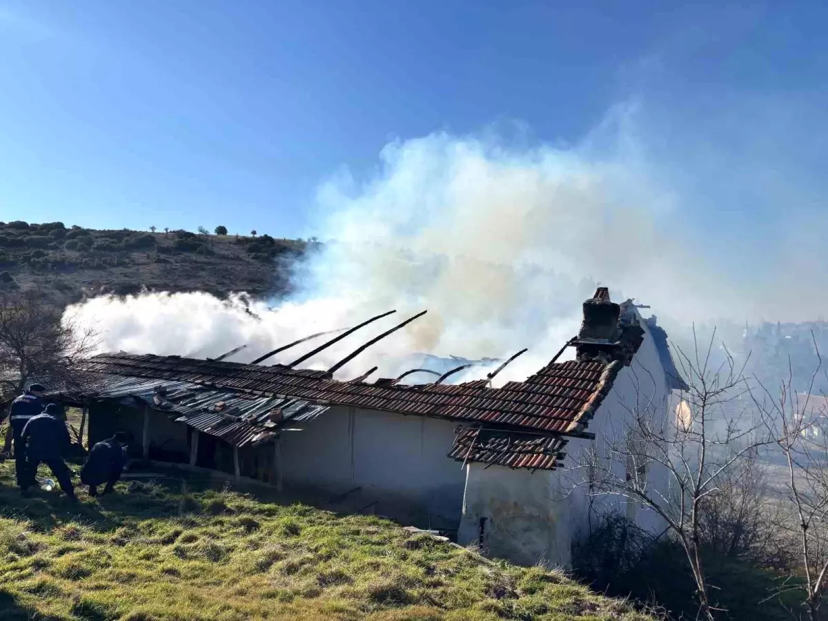 Uşak\'ta Yangın: 1 Ölü, 1 Yaralı