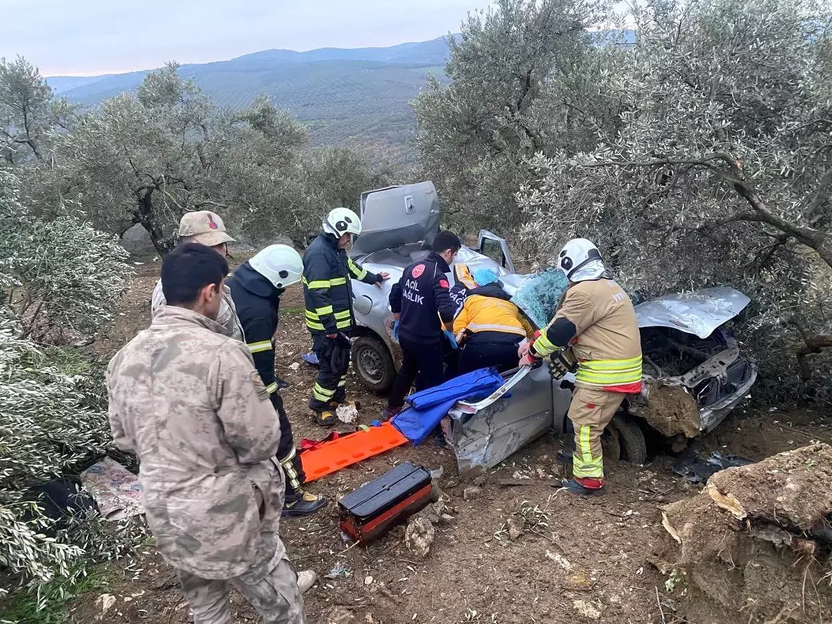 Hatay\'da Zeytinliğe Uçan Araçta Sürücü Yaralandı