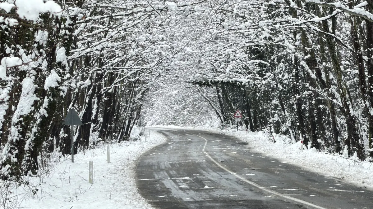 Ağaç Tünel Yolu\'nda Kış Manzarası