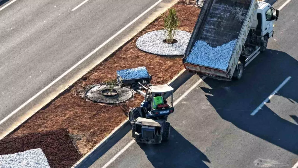 Aydın Büyükşehir Belediyesi\'nden Acarlar-Şehir Hastanesi yolunda peyzaj düzenlemesi