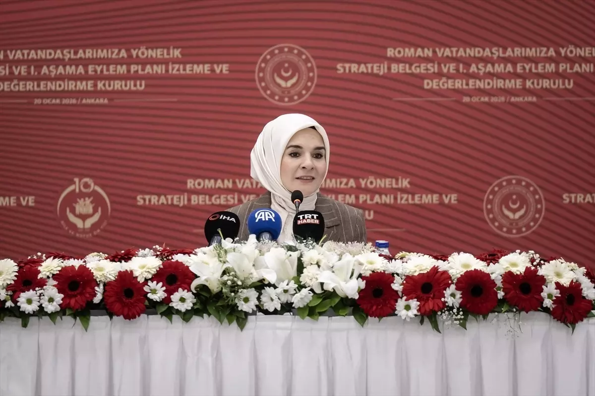 Bakan Göktaş, Roman vatandaşlara yönelik strateji belgesi ve eylem planıyla ilgili toplantıda konuştu Açıklaması