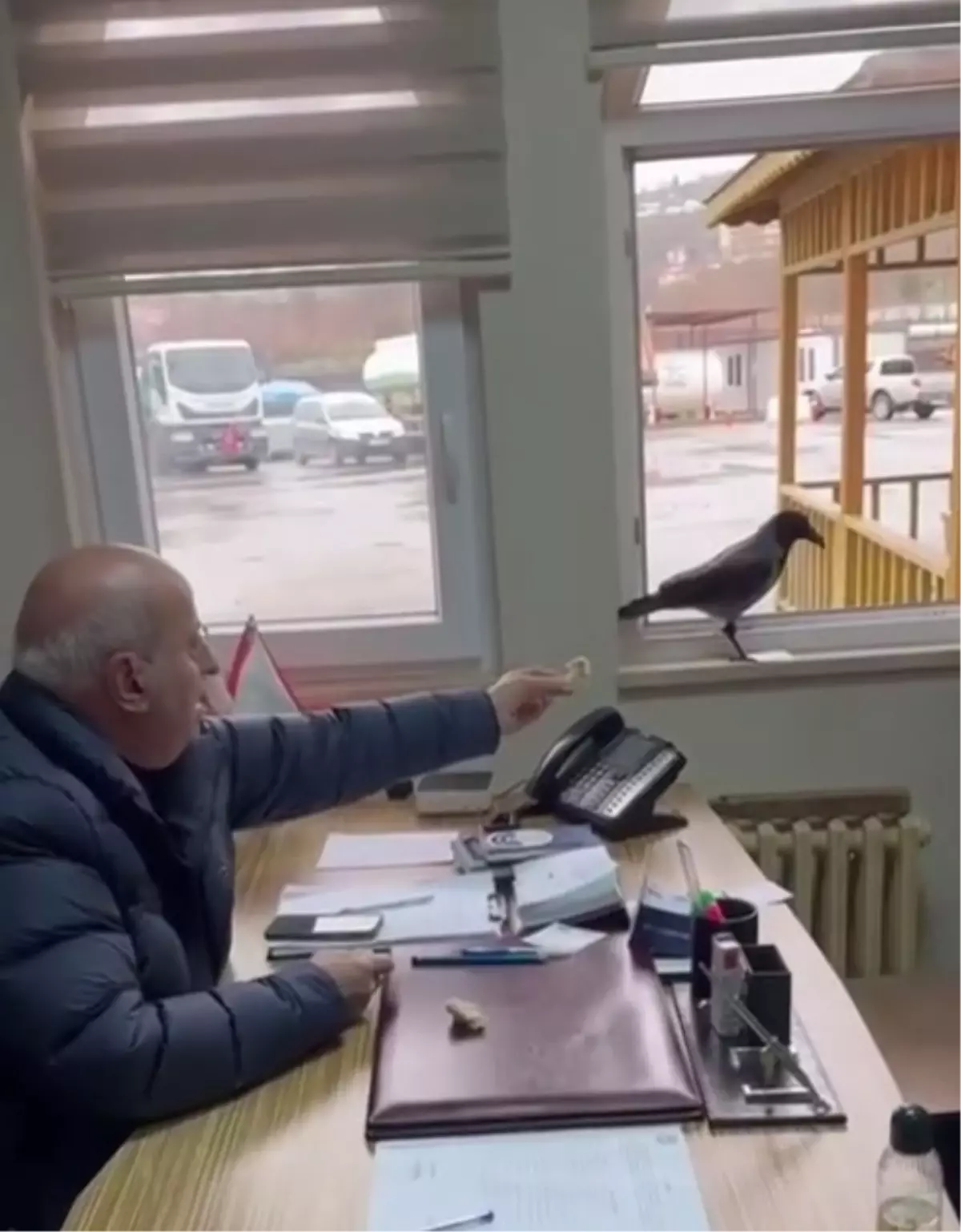 Başkan Kargaya Ekmeğini Verdi