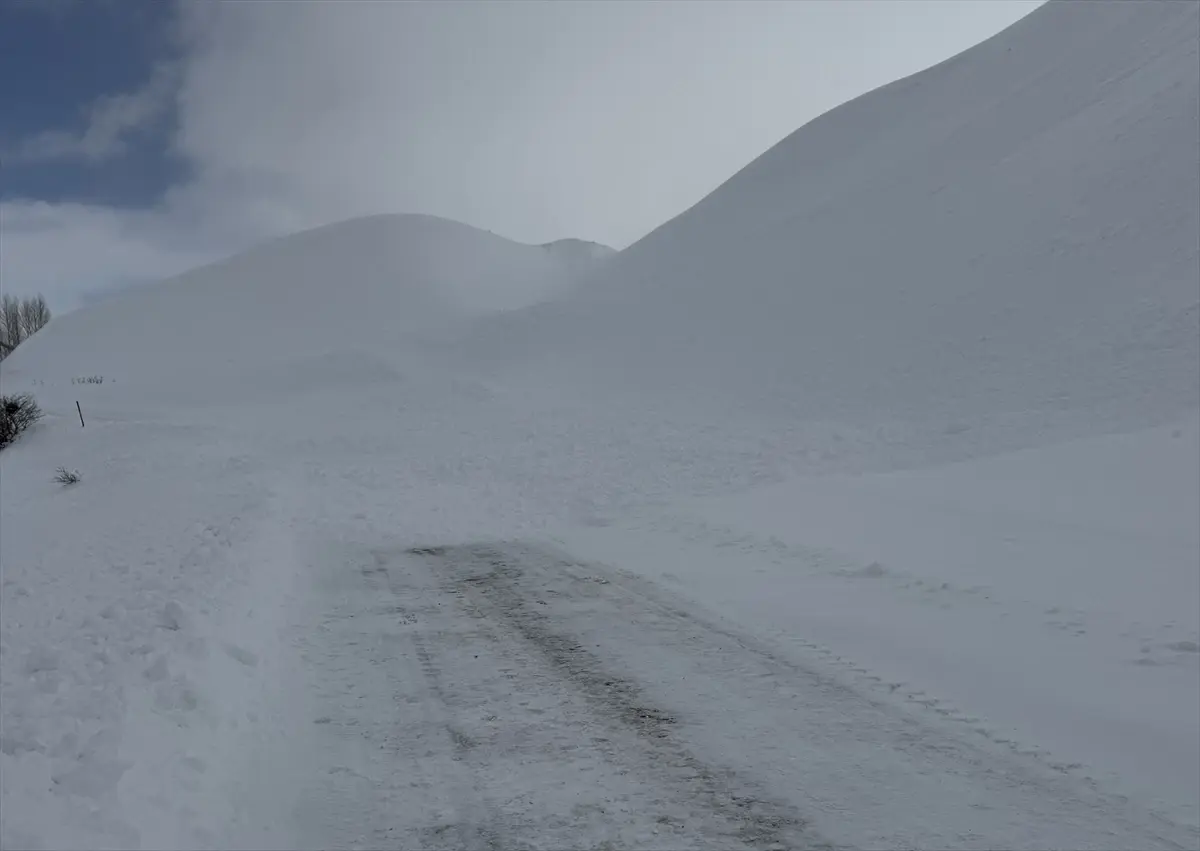 Bingöl\'de Çığ Yolu Kapattı