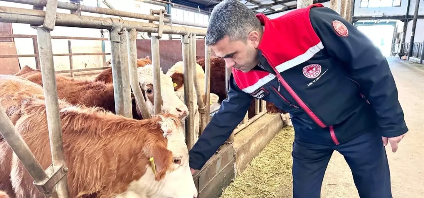 Erzurum\'a 1.6 Milyar TL Tarımsal Destek