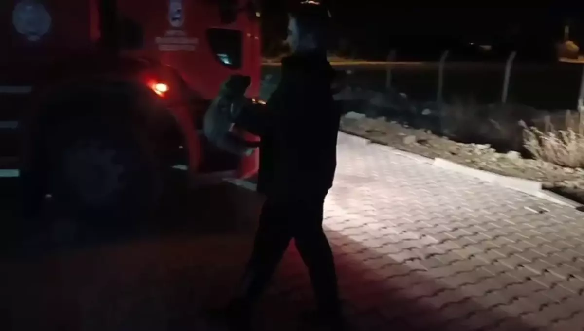 Konteyner Kentte Yavru Köpek Kurtarıldı