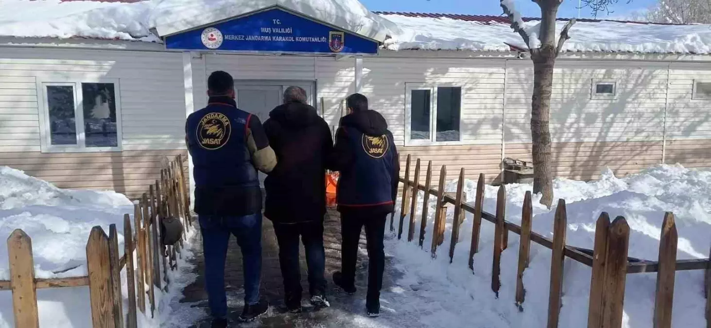 Muş\'ta Hapis Ceza Hükümlüsü Yakalandı