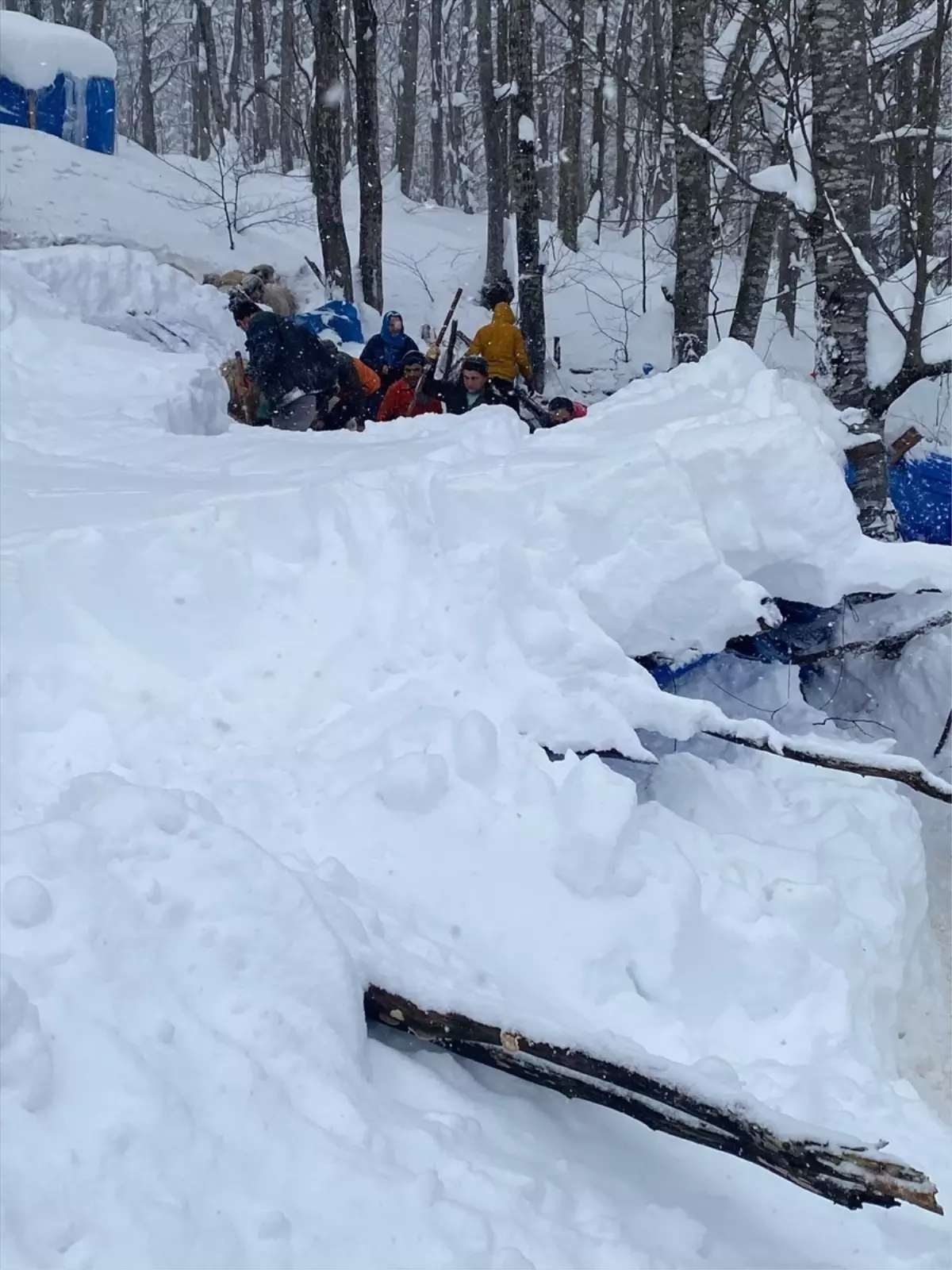 Kar nedeniyle ağıldaki koyunlar telef oldu