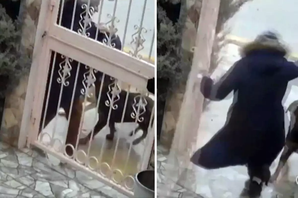 Sahipsiz köpeklerin saldırısına uğrayan kadın komşusunun müdahalesiyle kurtuldu