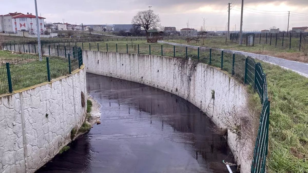 Görenler inanamadı! Dere siyah akmaya başladı
