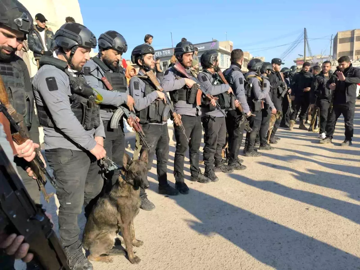 Rakka\'da K9 Köpekleriyle Güvenlik Çalışmaları