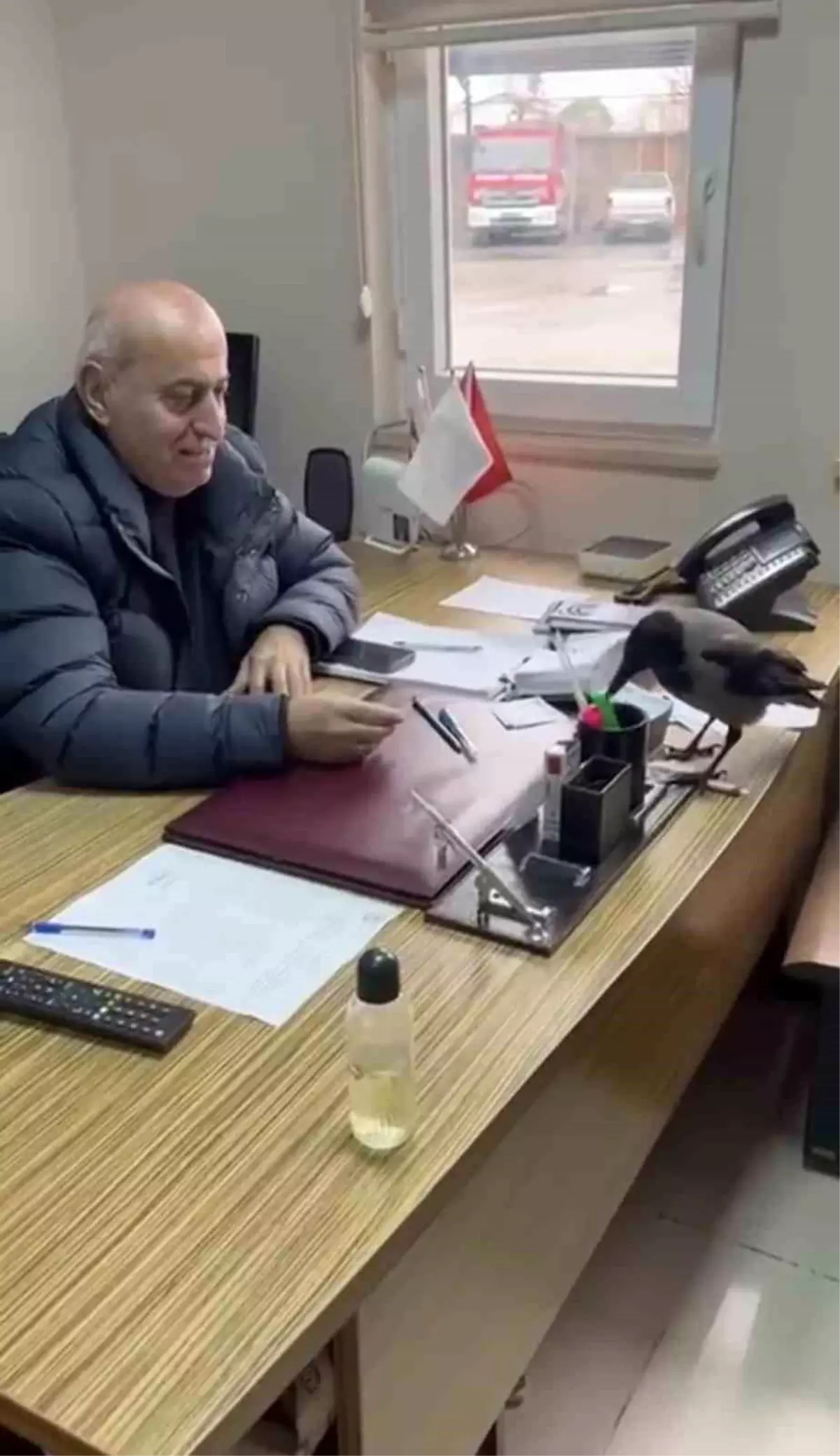 Trabzon\'da belediye başkanının gülümseten karga diyaloğu