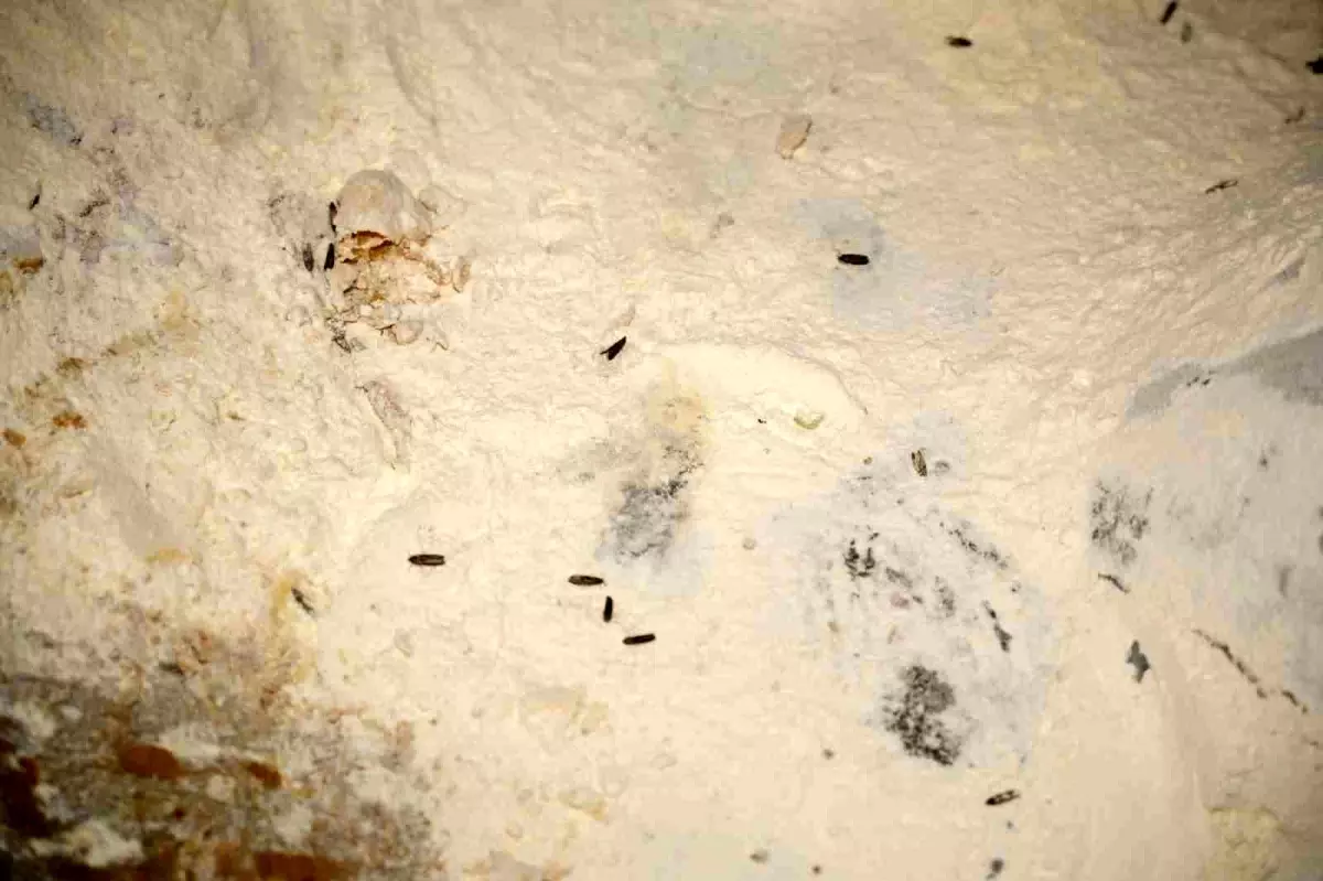 Yenişehir Belediyesi\'nden YESAŞ\'a hijyen cezası