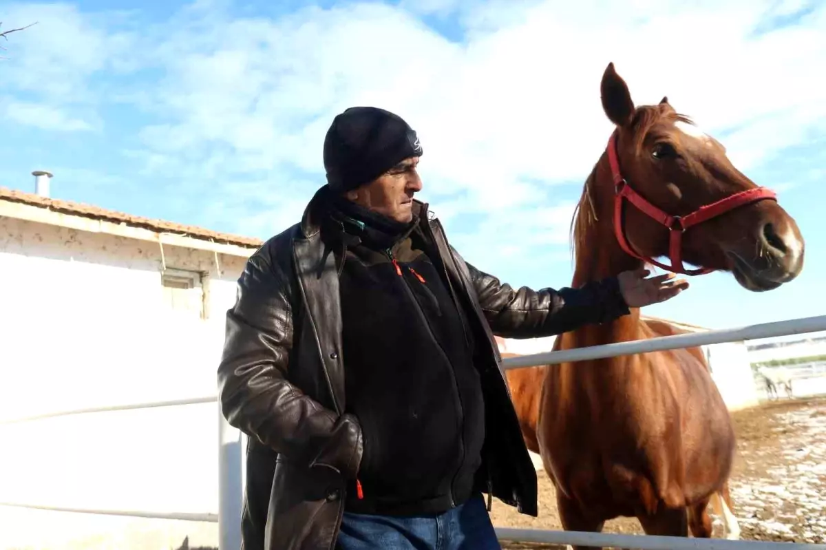 Kış Aylarında At Bakımının Zorluğu