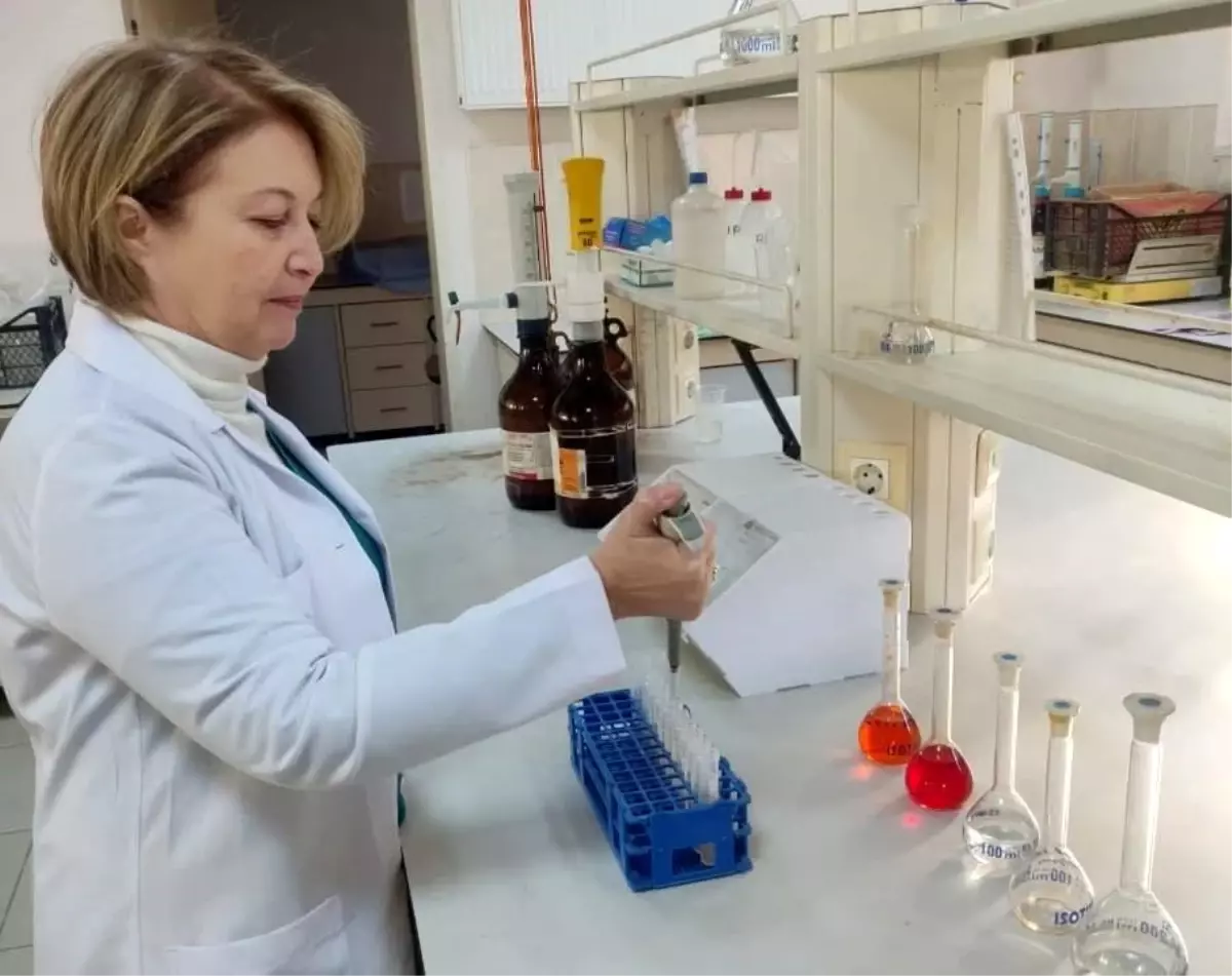 Aydın\'da Tarım Arazilerine 20 Milyon TL Cezası