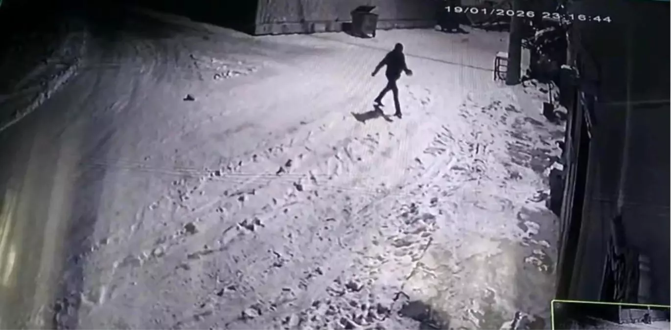 Kurtları Çaydanlıkla Kovdu