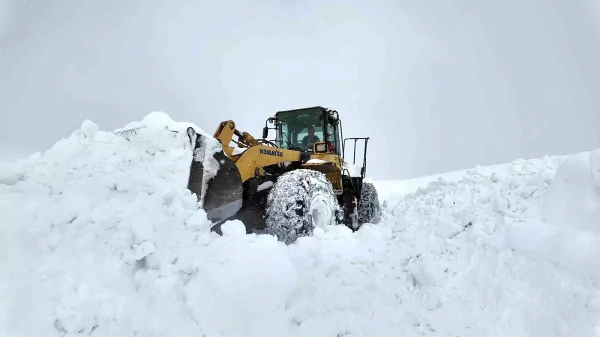 Bingöl\'de Karla Mücadele Devam Ediyor