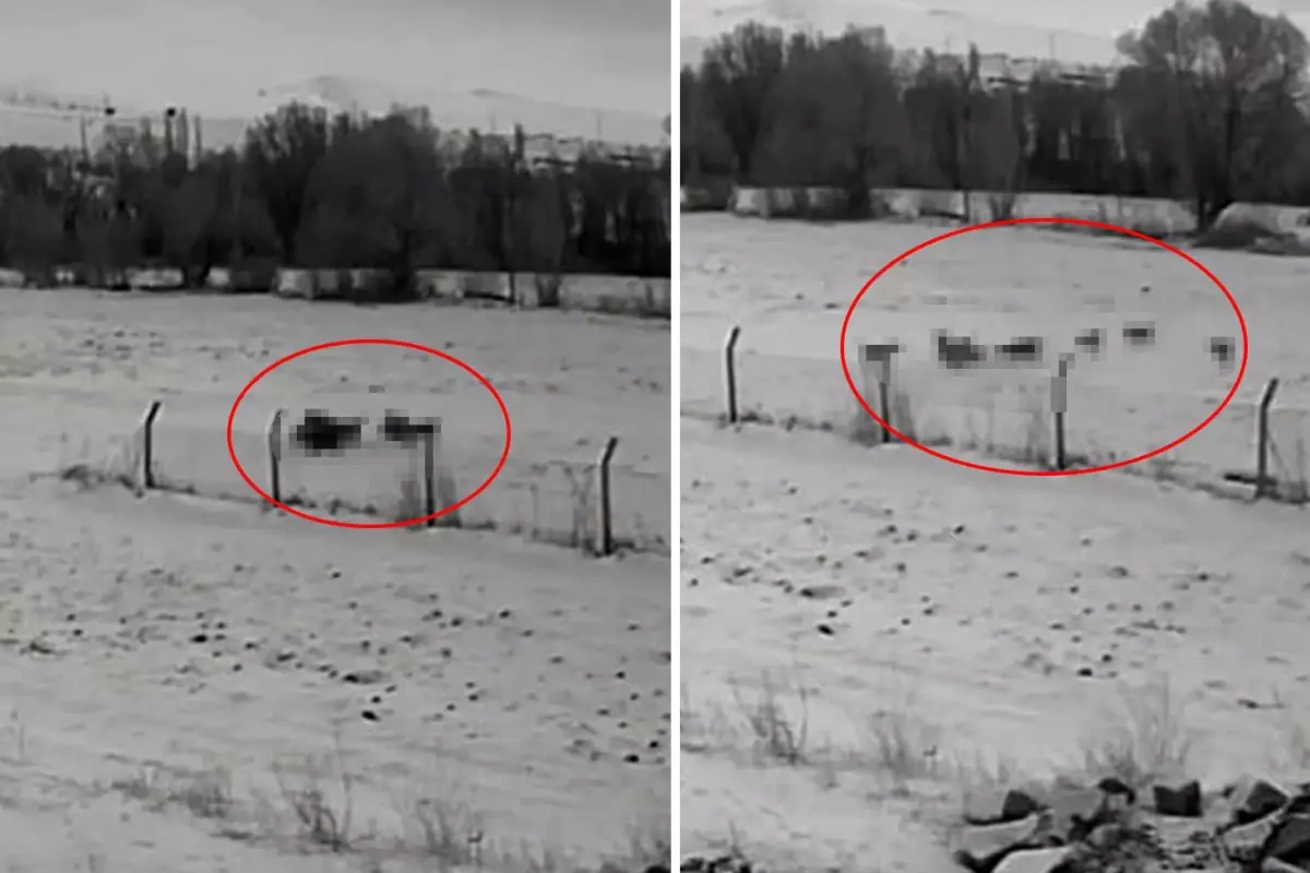 Görüntü Türkiye\'den: Gündüz vakti baskın yaptılar, vatandaşlar korku içinde