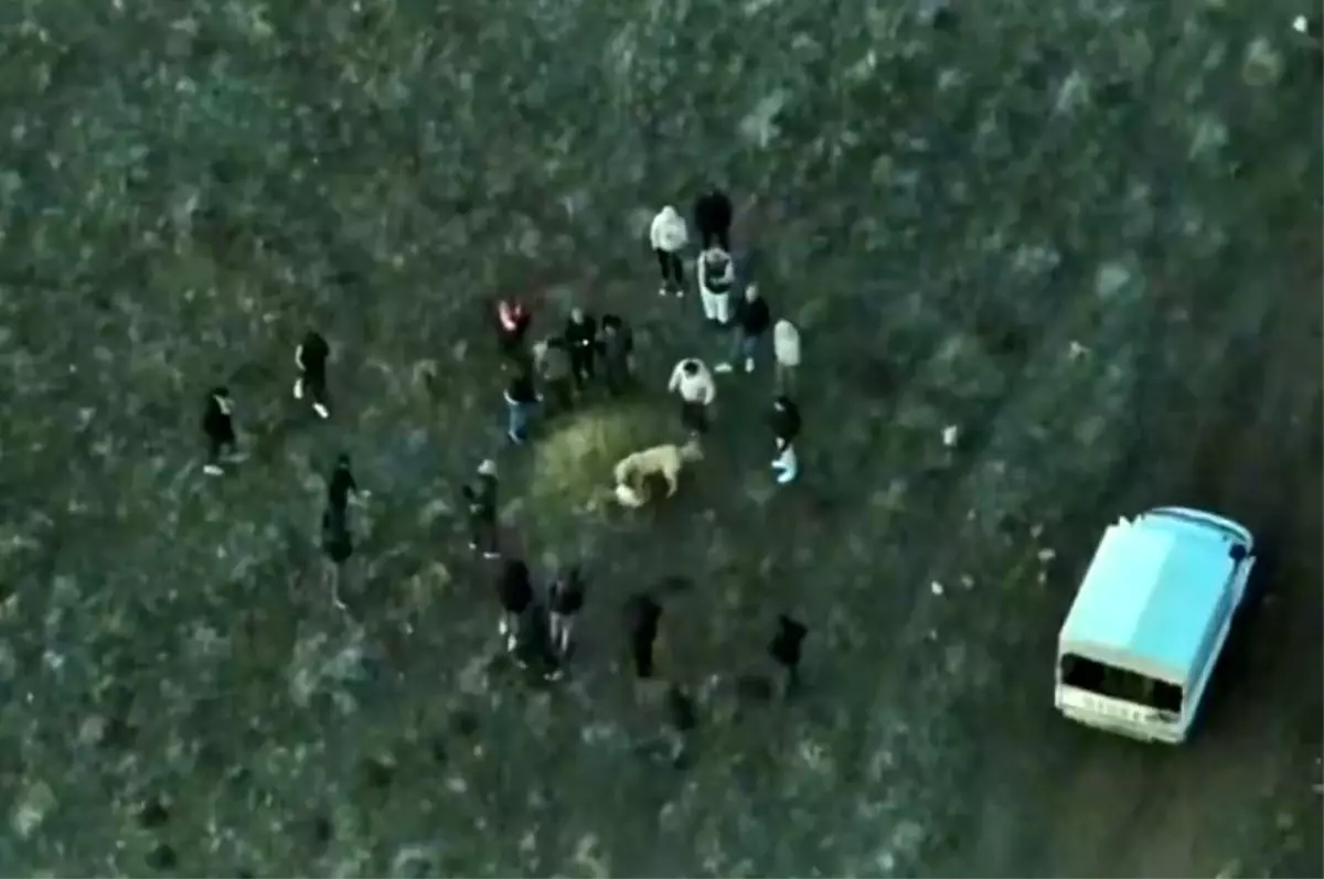 Köpek dövüştüren şahıslara jandarmadan dronlu baskın