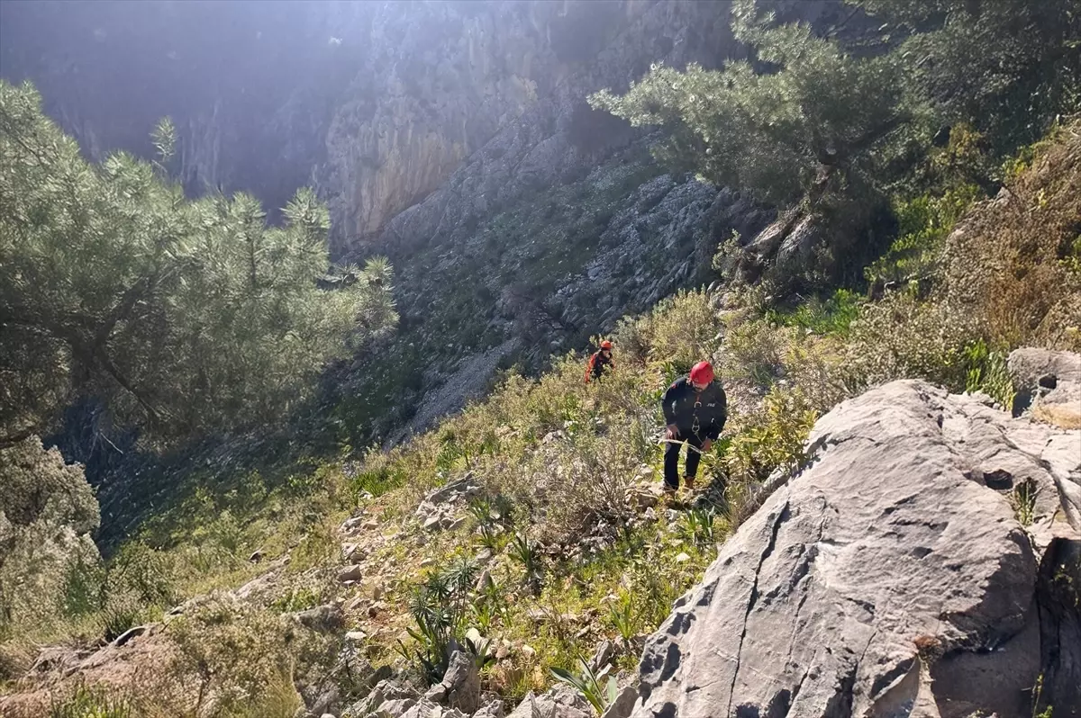 Ula\'da Mahsur Kalan Oğlaklar Kurtarıldı