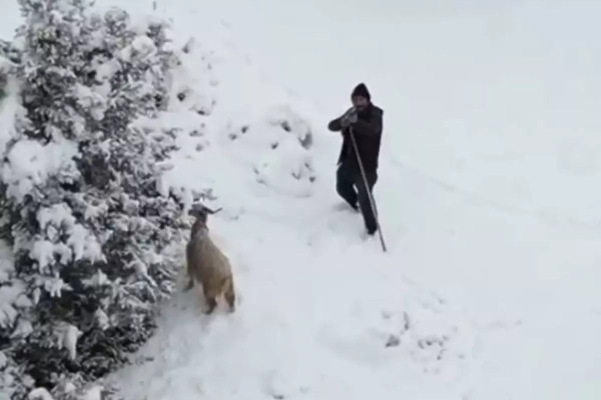 Ankaralı çoban, kendisine yaklaşan drona tüfek doğrulttu