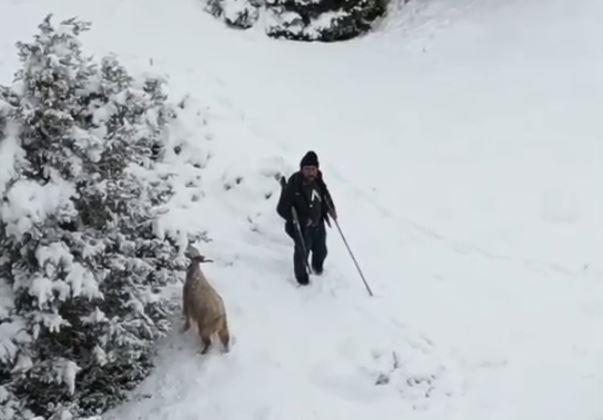 Nallıhan'da çoban, gördüğü drona tüfek doğrulttu; o anlar kamerada
