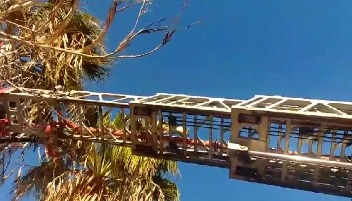 Silifke\'de yürekleri ısıtan kurtarma