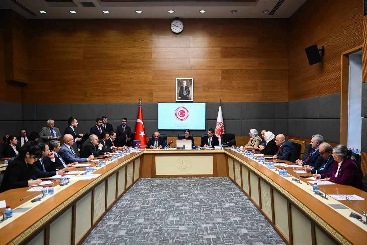 Beritan Güneş Altın, Katip Üye Seçildi