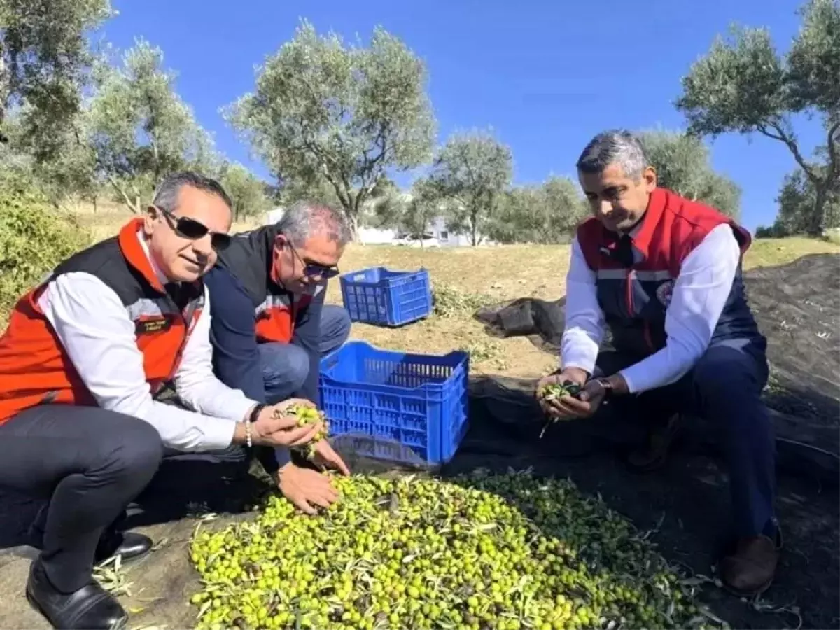 Aydın\'da Tarım Denetimleri ve Cezalar