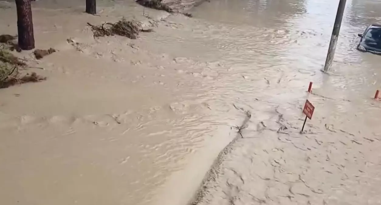 Aydın\'da Sel Faciası: Araçlar Sulara Kapıldı