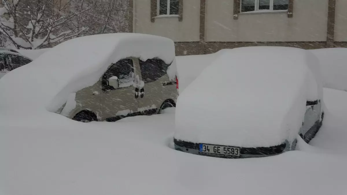 Bitlis\'te 197 Köy Yolu Tekrar Açıldı