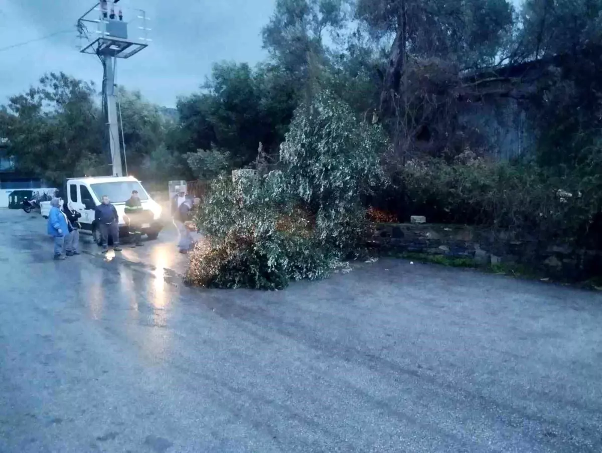 Bodrum\'da fırtına etkili oldu