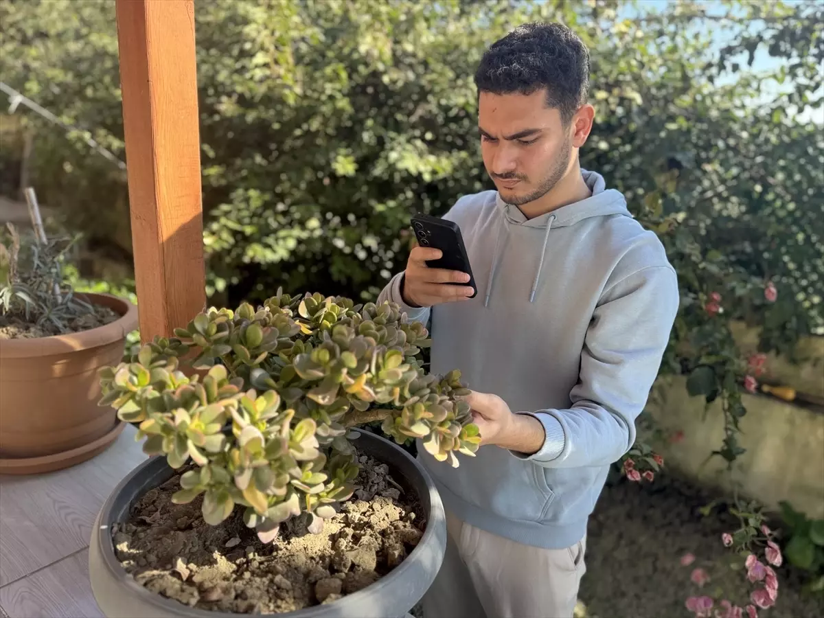 Depremden Sonra Yapay Zeka ile Bitki Asistanı