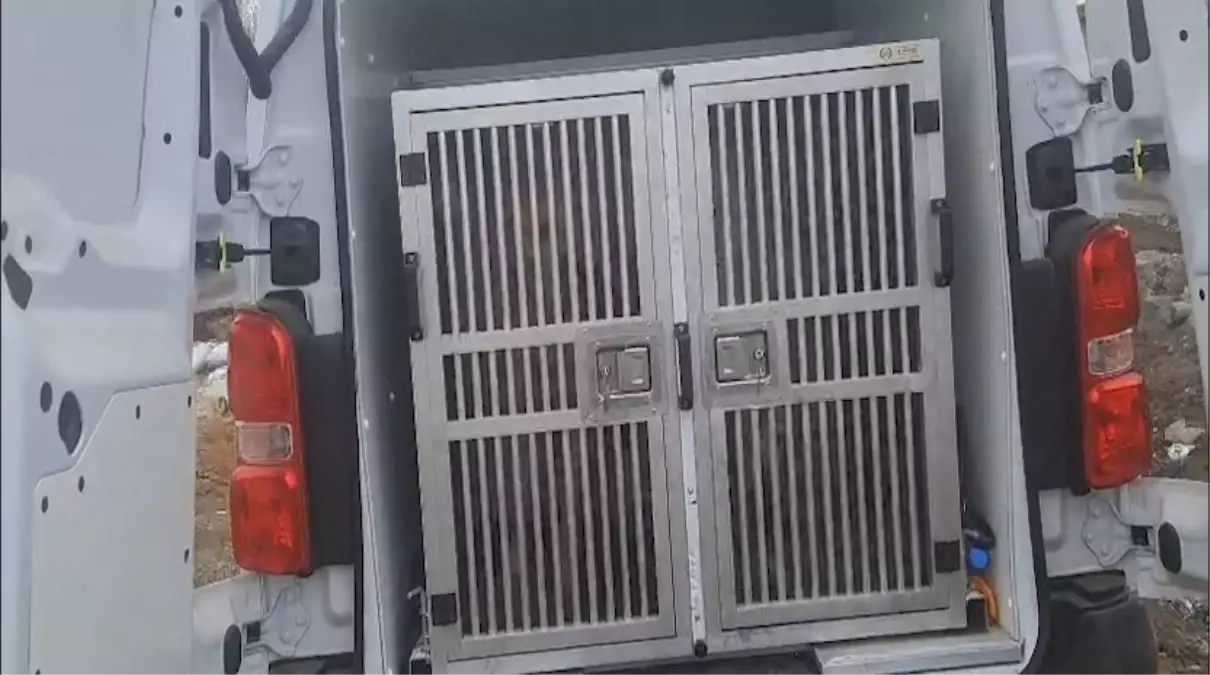 Diyarbakır\'da Kaybolan Zihinsel Engelli Kadın İçin Arama Başlatıldı