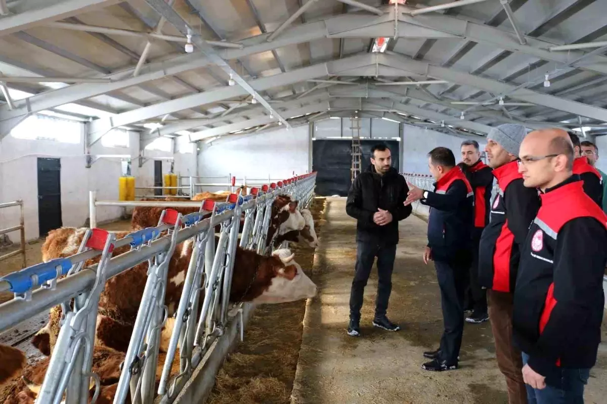 Üzümlü\'de Yeni Hayvan Tesisleri Kuruldu