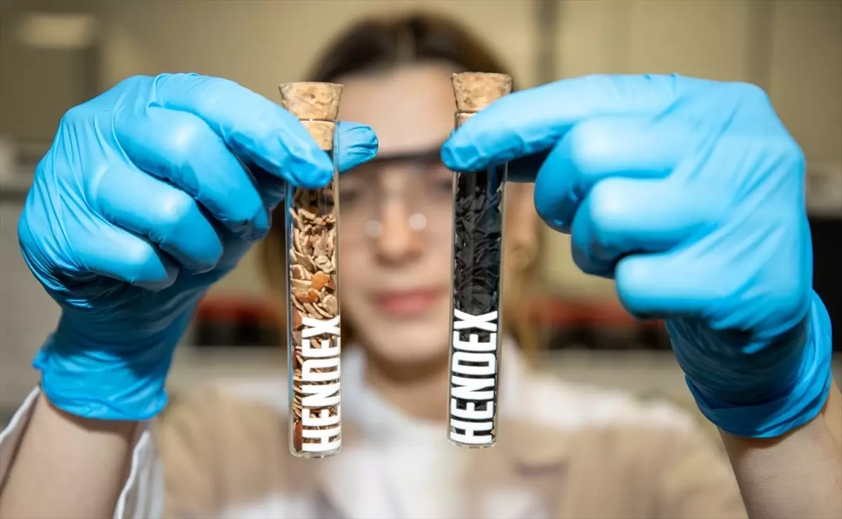 Fındık Kabuğundan Aktif Karbon Üretimi Başladı