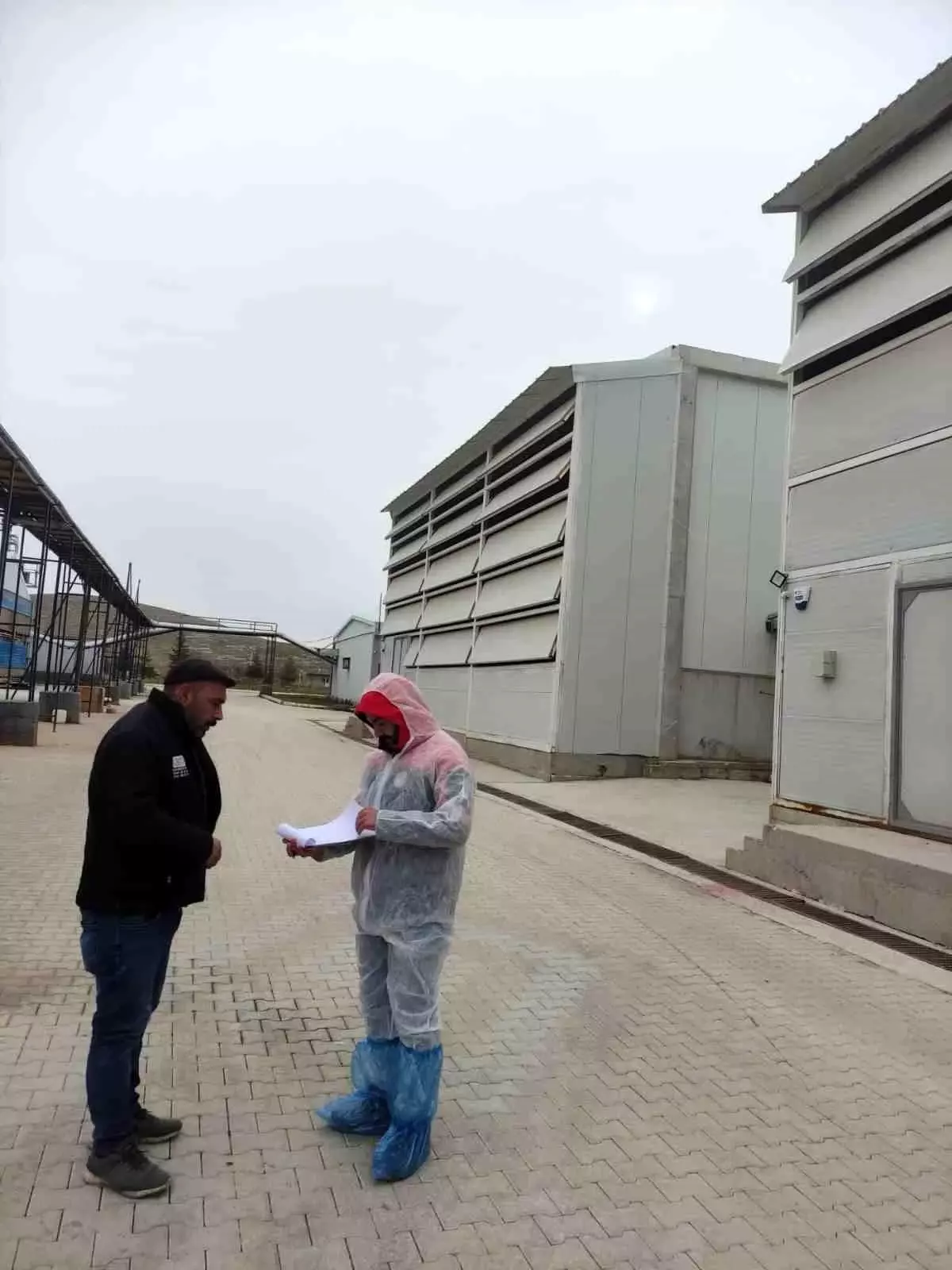 Bolvadin\'de Kanatlı Hayvan Denetimi