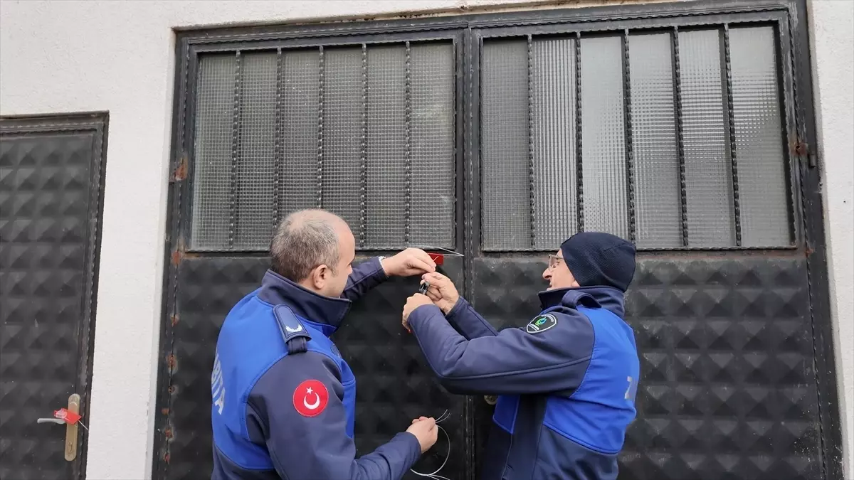 Ruhsatsız Tavuk Tesisi Mühürlendi