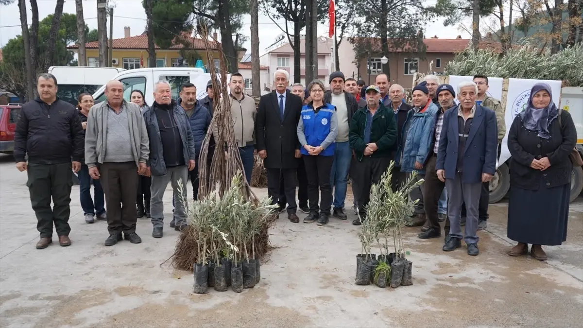 Muğla\'da Üreticilere Fidan Desteği