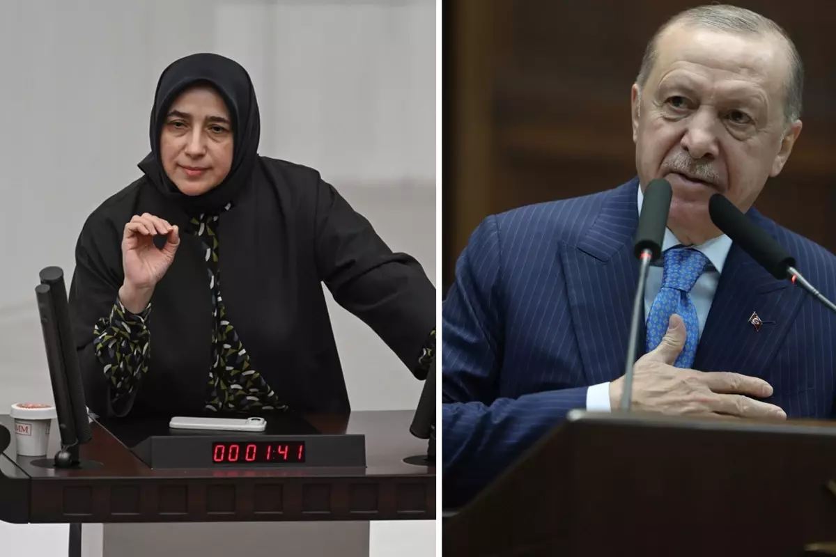 Özlem Zengin\'in emekli maaşlarıyla ilgili sözleri gündem oldu