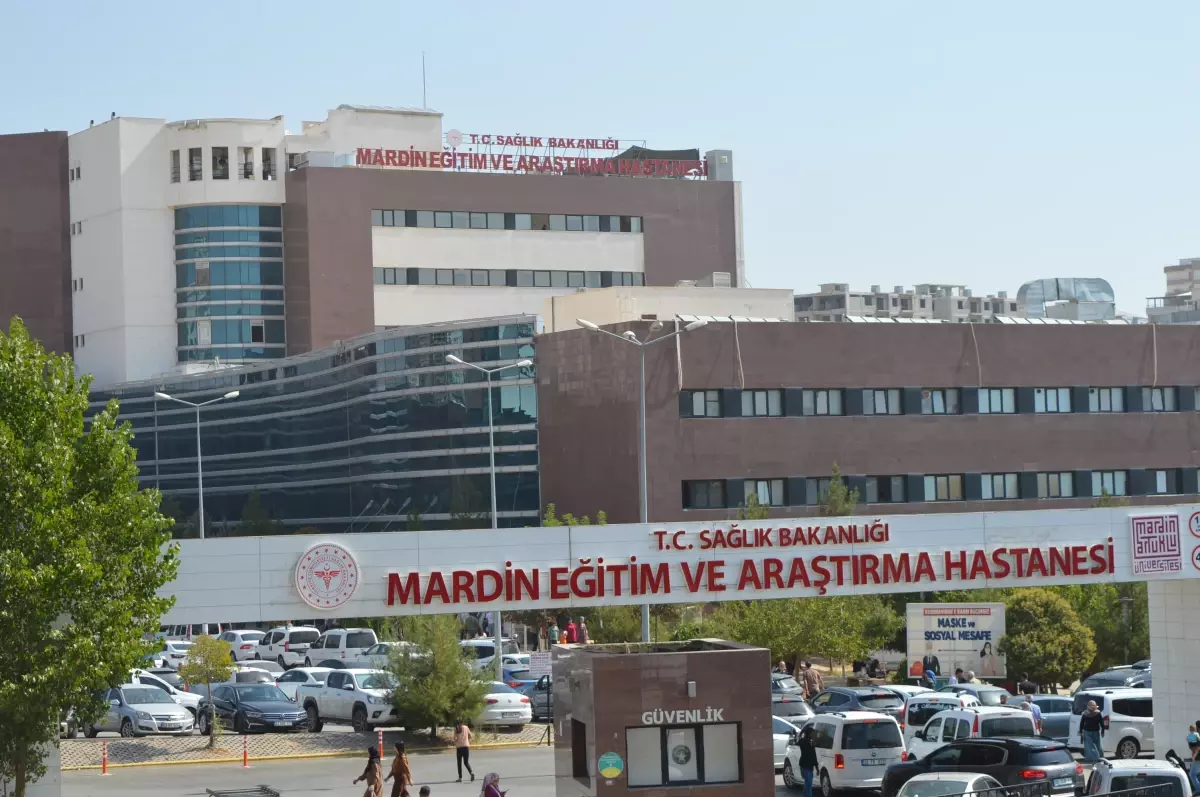 Sokak Köpekleri 4 Yaşındaki Kızı Ağır Yaraladı