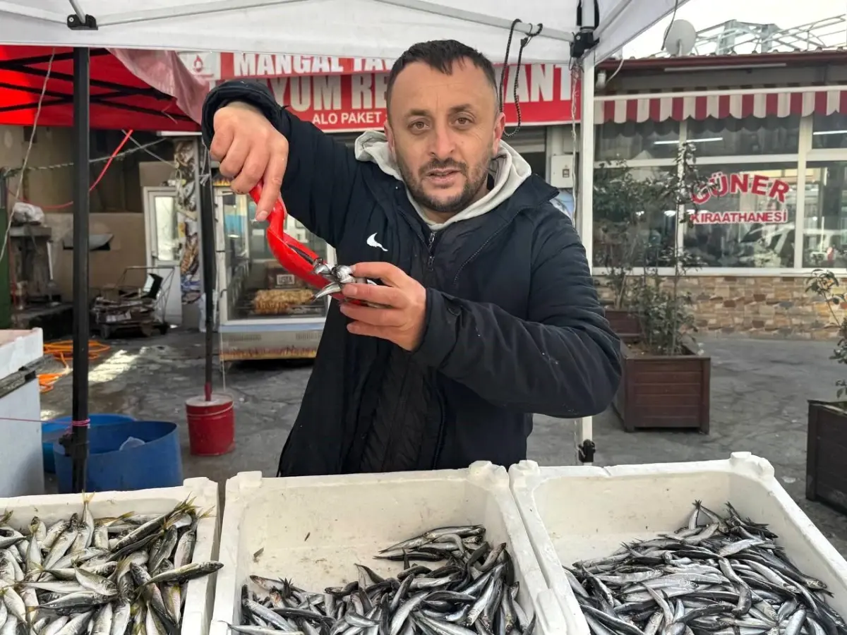 Zonguldak\'ta Balık Fiyatları Artıyor