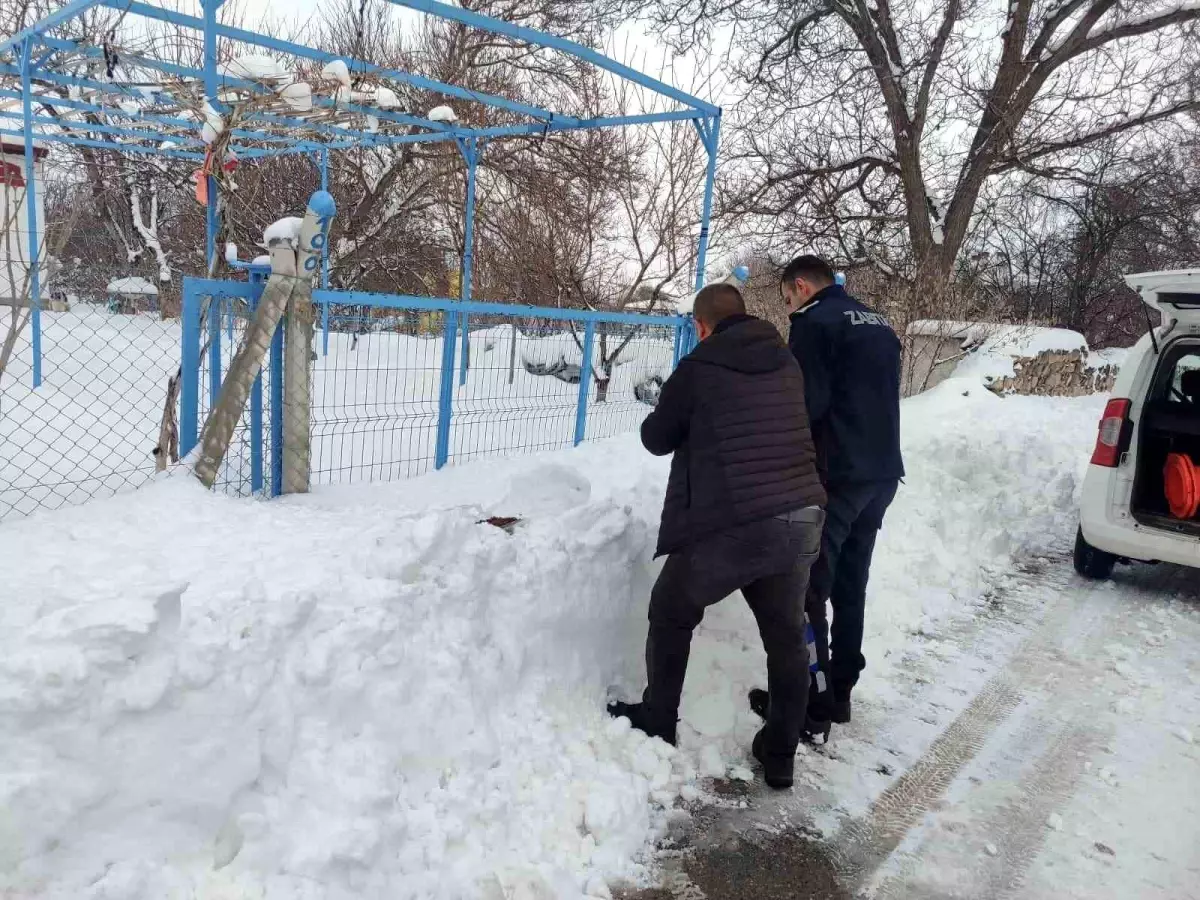 Bünyan\'da sokak hayvanlarına mama desteği