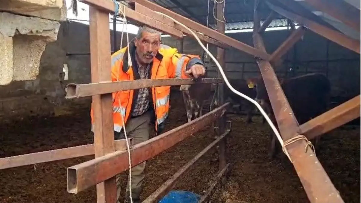 Gaziantep\'te Yoğun Kar Ahır Çatısını Çökerdi