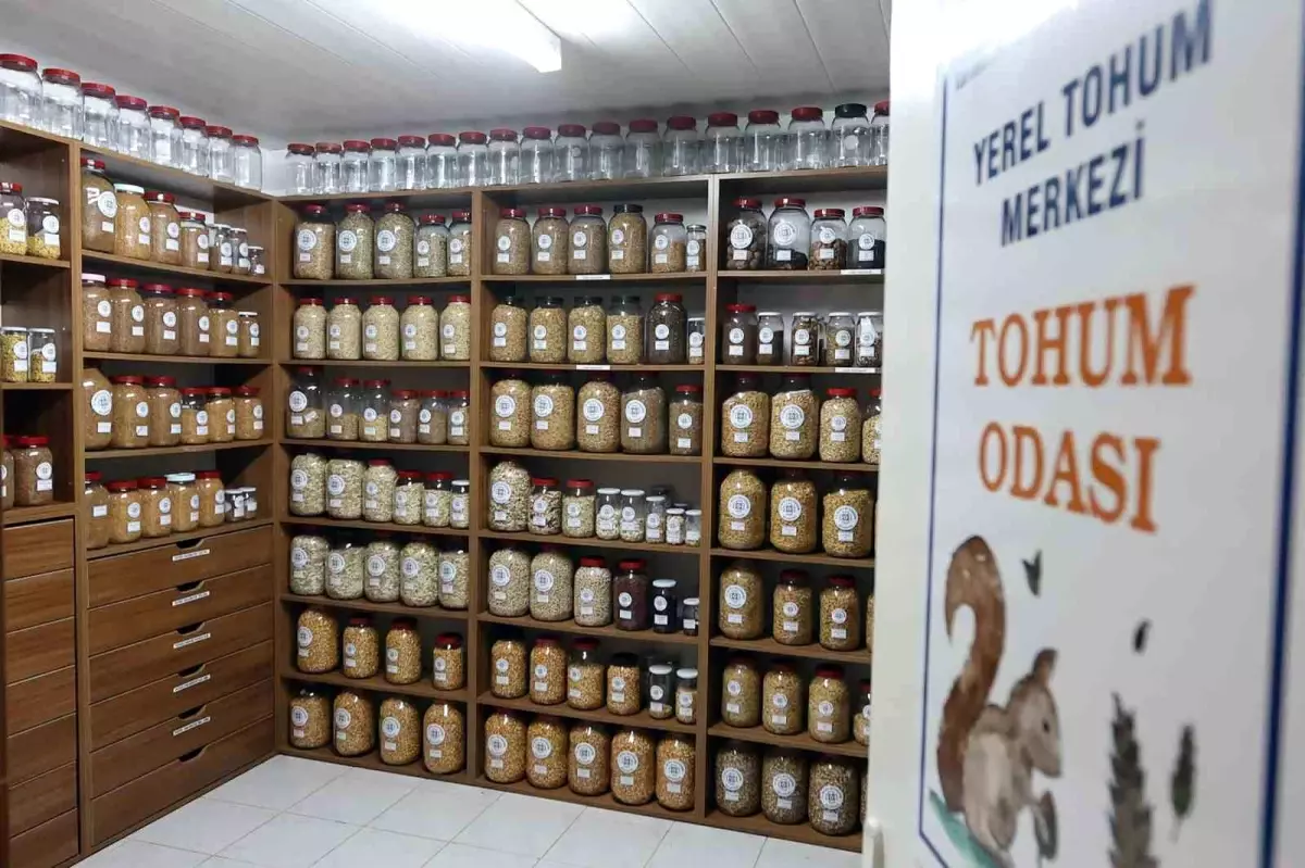 Muğla Büyükşehir 2026 yılında 3 milyon ata tohumu dağıtacak