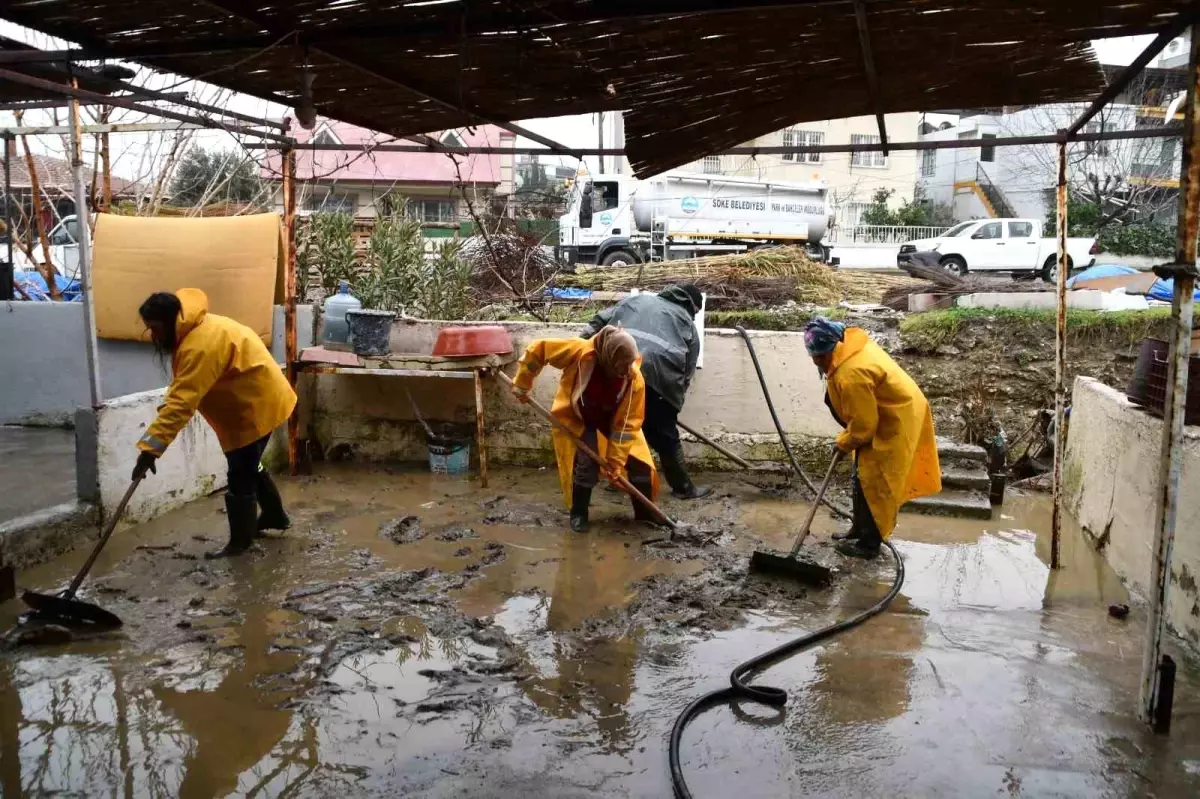 Söke Belediyesi ekipleri selin yaralarını sarmak için sahada